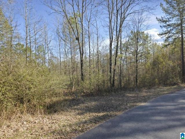 Land for sale in Dora, Alabama