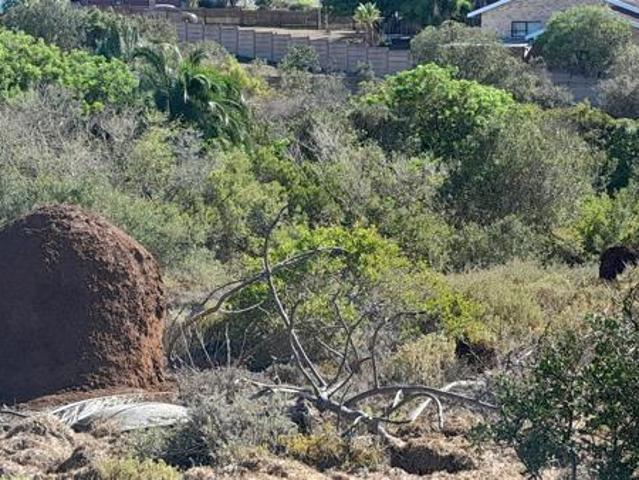 Land for sale in Cape St Francis, Eastern Cape