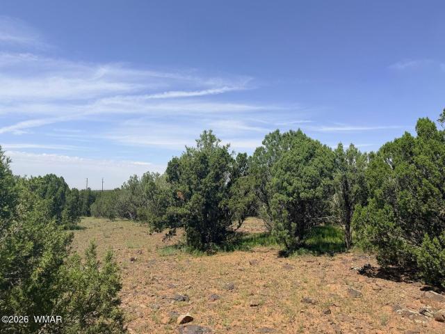 Land for sale in Navajo, Arizona
