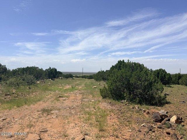 Land for sale in Navajo, Arizona