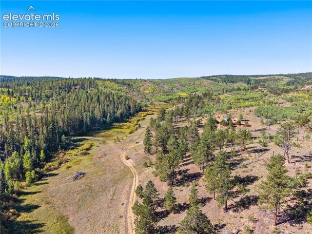 Land for sale in Divide, Teller County