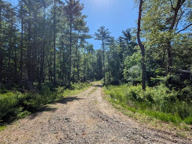 Land for sale in New York