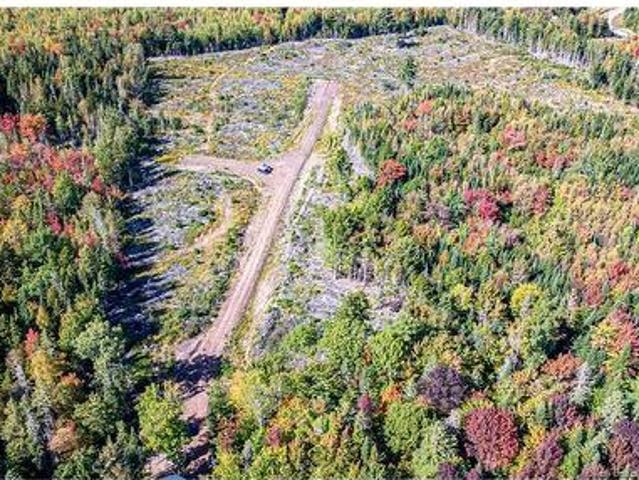 Land for sale in Charters Settlement, New Maryland Parish