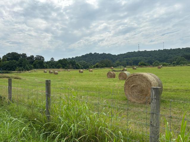 Farm for sale in Frankfort, Kentucky