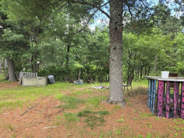 Land for sale in Nekoosa, Wisconsin