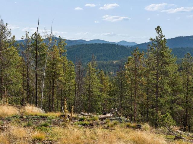 Land for sale in Conifer, Jefferson County