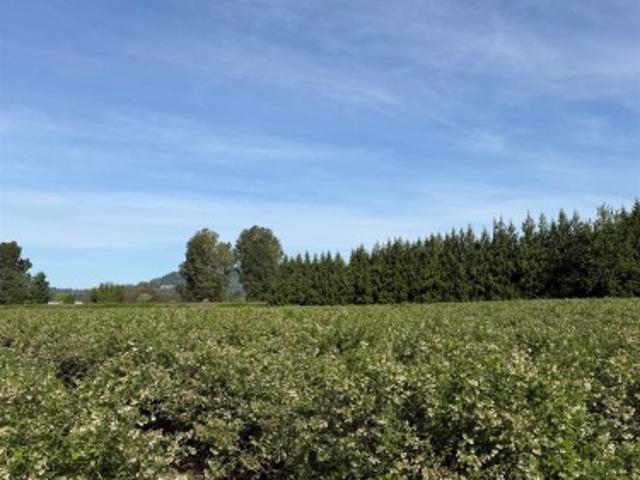 Land for sale in British Columbia
