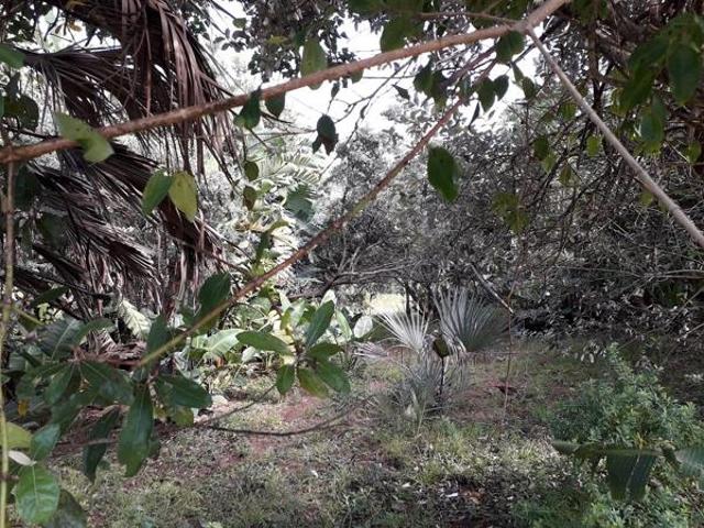 Land for sale in Ugu District Municipality, Kwazulu-natal