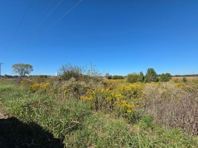Commercial for sale in Rogersville, Webster County