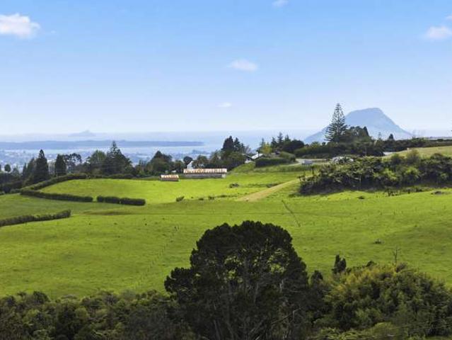 Property for sale in Ohauiti, Welcome Bay