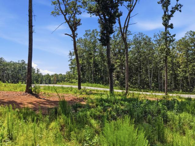 Land for sale in Signal Mountain, East Tennessee