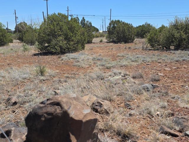 Land for sale in Navajo, Arizona