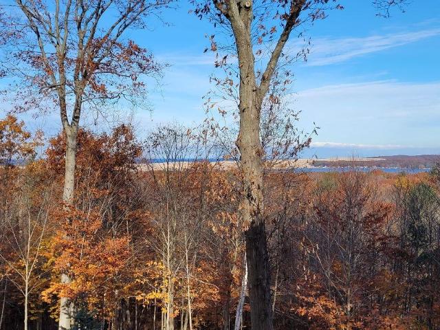House for sale in Michigan