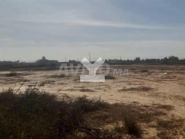 Propriété vente à Agadir, Oued ed Dahab-Lagouira