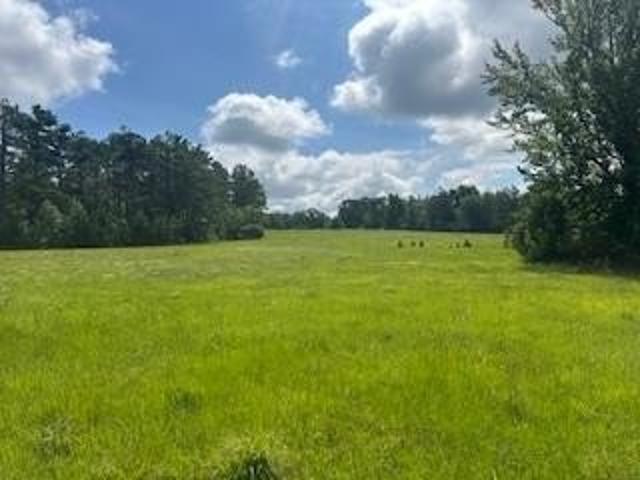 Land for sale in Mississippi