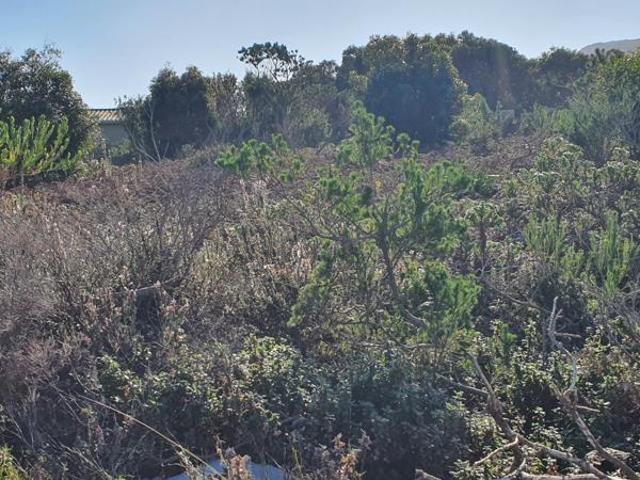 Land for sale in Western Cape