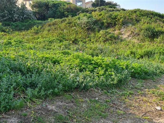 Land for sale in Cape St Francis, Eastern Cape
