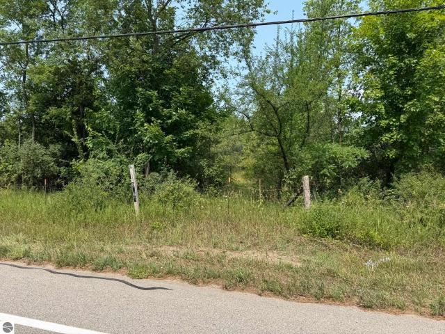 Land for sale in Benzonia Township, Benzie County