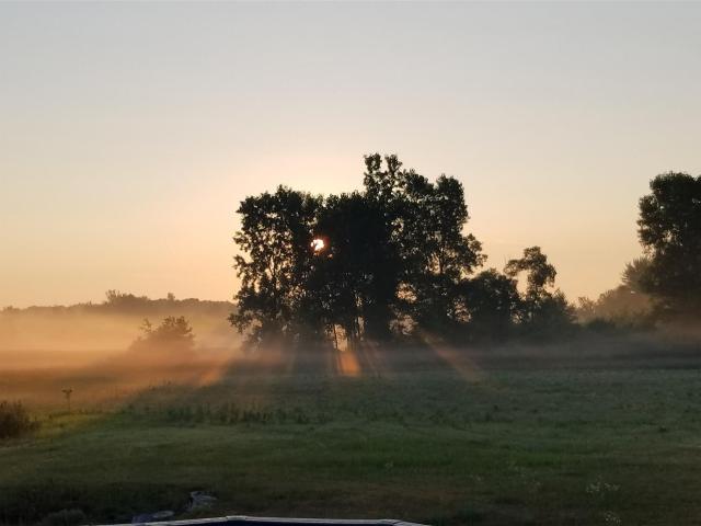 Land for sale in Michigan