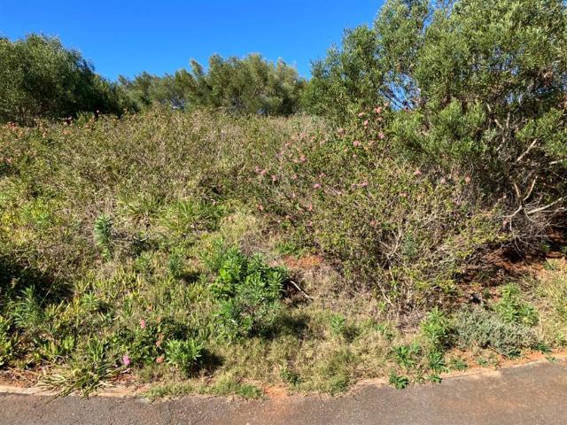 Land for sale in Bushmans River Mouth, Eastern Cape