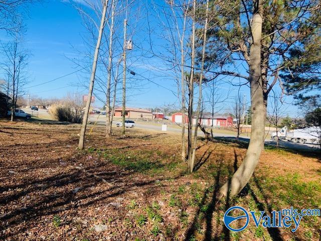 Commercial for sale in Rainsville, Alabama