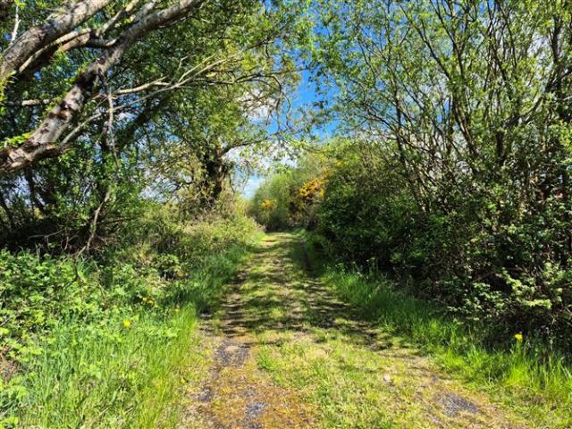 Detached House for sale in Tuam, Connacht