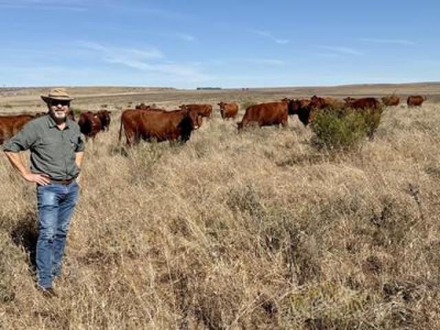 Farm for sale in Lindley, Free State