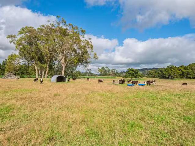 House for sale in Northland