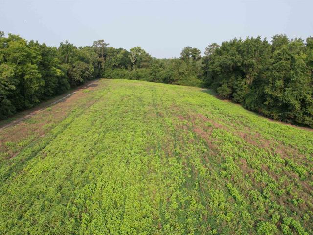 Land for sale in Johnsonville, South Carolina