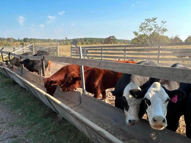 Land for sale in Ark