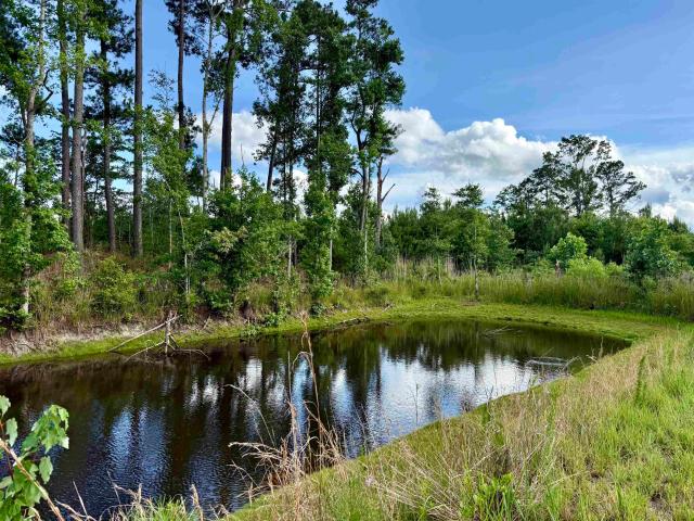 Land for sale in Hemingway, South Carolina