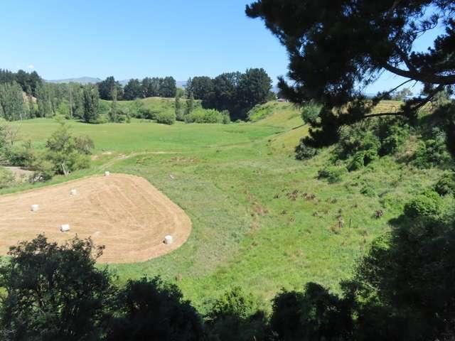 Property for sale in Tararua District