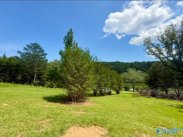 Land for sale in Cedar Bluff, Alabama