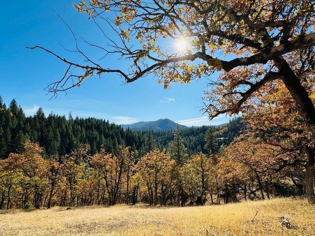 Land for sale in Hayfork, California