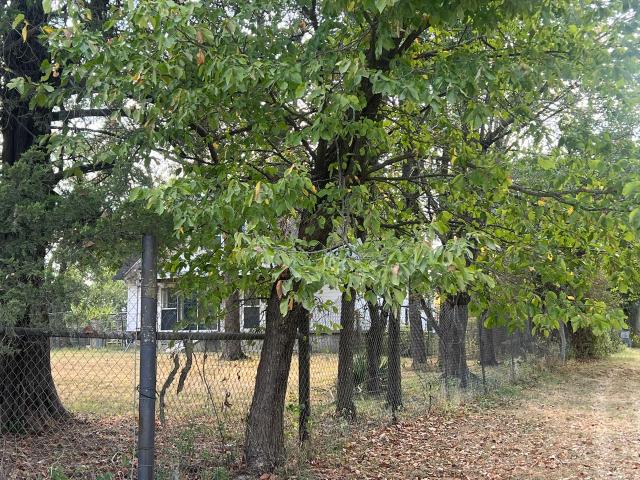 House for sale in Buffalo, Missouri