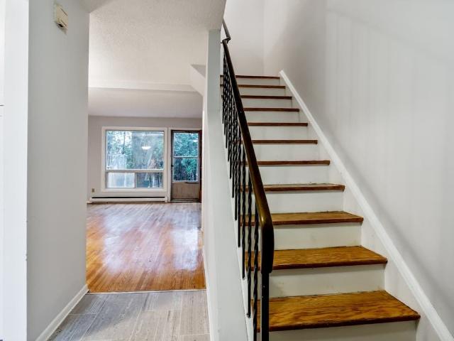 House for rent in York, Ontario