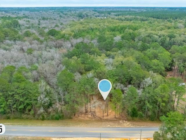 Land for sale in Walton, Florida