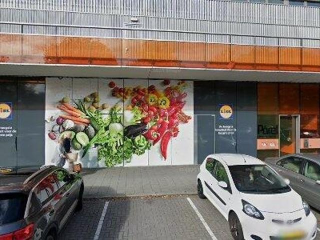 Appartement te huur in Meeuwenplaat, Hoogvliet