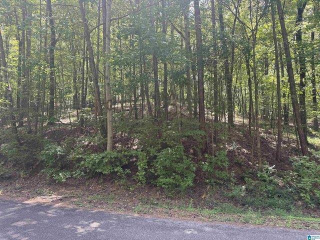 Land for sale in Ohatchee, Alabama