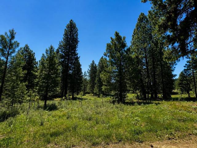 Land for sale in Idaho City, Idaho