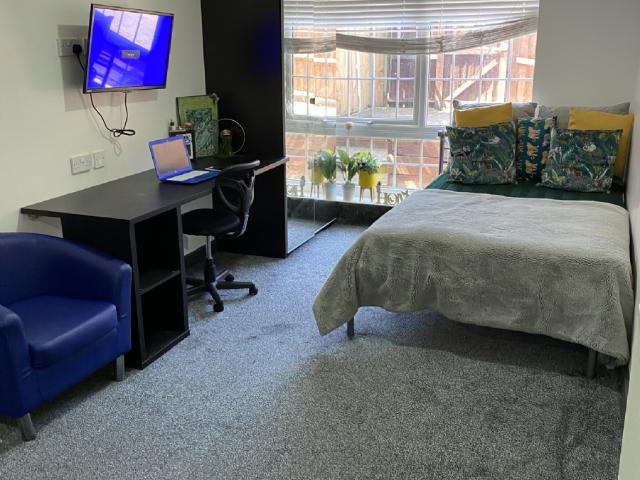 Studio for rent