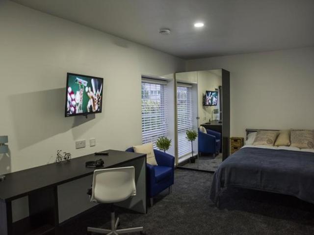 Studio for rent