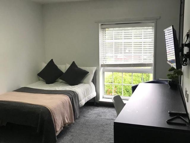Studio for rent