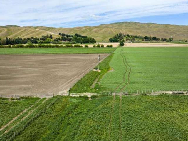 Property for sale in Havelock North