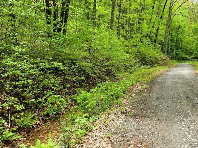 Land for sale in Cullowhee, North Carolina