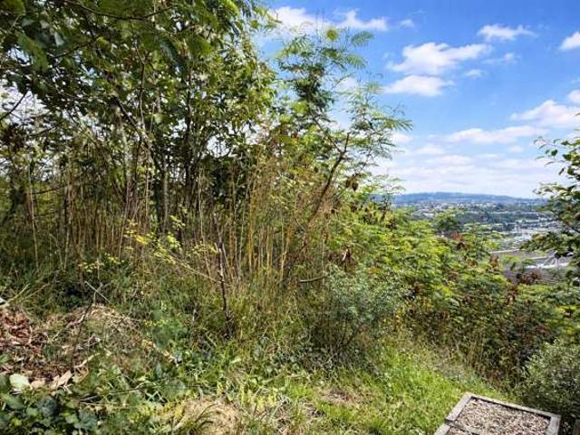 Land for sale in Matata, Wellington