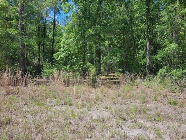 Land for sale in Suwannee, Florida