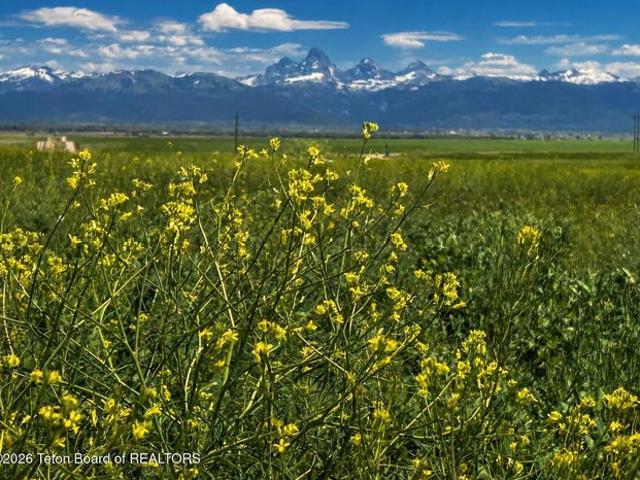 Land for sale in Tetonia, Idaho
