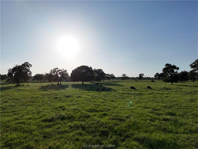 Land for sale in Snook, Texas