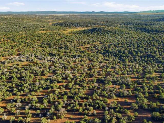 Land for sale in Ash Fork, Arizona